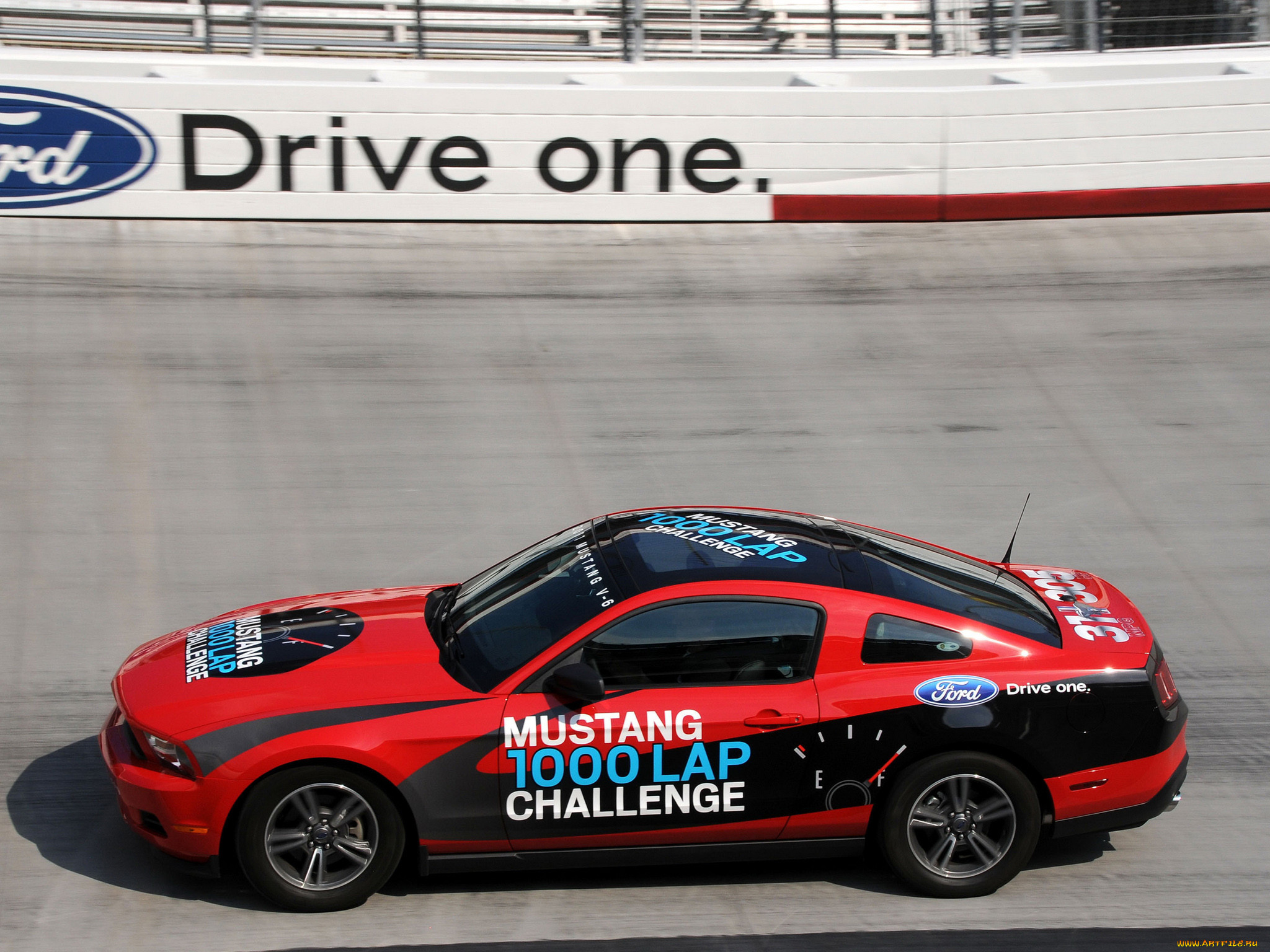 , mustang